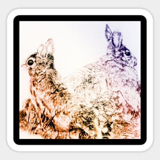 rabbits Sticker